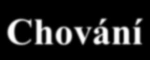 Jak je zatahuje do hry? Nebo je individualistou? Projevuje jistotu či nejistotu?