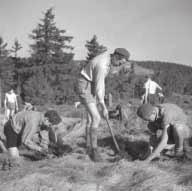 Již v roce 1955 proto vznikají první chráněné krajinné oblasti. Roku 1963 je vyhlášen první národní park Krkonoše, který na dlouhou dobu zůstal také jediným.