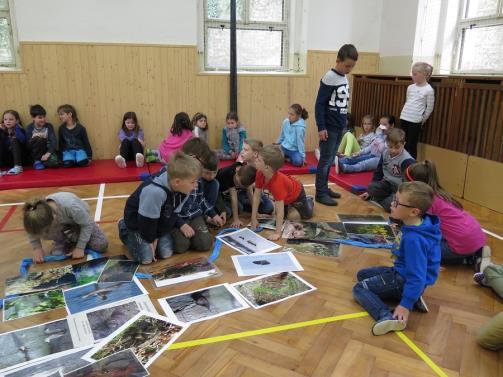 geologickým programem, kterou vedl