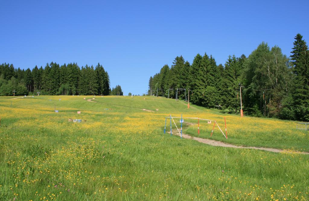 SLALOMOVÉ KÁRY AREÁL NAD NÁDRAŽÍM, ŽELEZNÁ RUDA Hodnocení