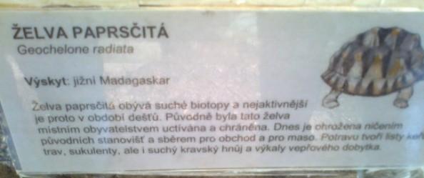 3: Informační tabule a zvířata ZOO Plzeň obrázek č. 14-23 Příloha č. 4: Informační tabule a zvířata ZOO Praha obrázek č. 24-29 Příloha č.