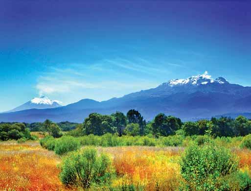 > MEXIKO Okruh středním Mexikem Mexico City Teotihuacán Cholula Puebla Taxco Cuernavaca Acapulco > NOVINKA V NABÍDCE > VSTUPY V CENĚ > ODLET Z PRAHY (NA VYŽÁDÁNÍ ODLET I Z VÍDNĚ) Sectur D.F.