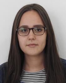 Drabina Max