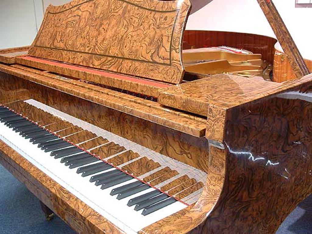 C 154/26 CS Úřední věstník Evropské unie 17.5.2017 Starožitné klavíry mají takřka vždy klávesy ze slonoviny, ale také mohou obsahovat
