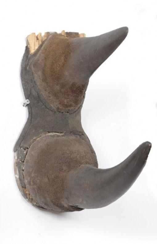 Za zpracované se nepovažují nosorožčí rohy a jiné exempláře zařazené v příloze A, u nichž byly rohy a/nebo lebky připevněny k dřevěné desce.