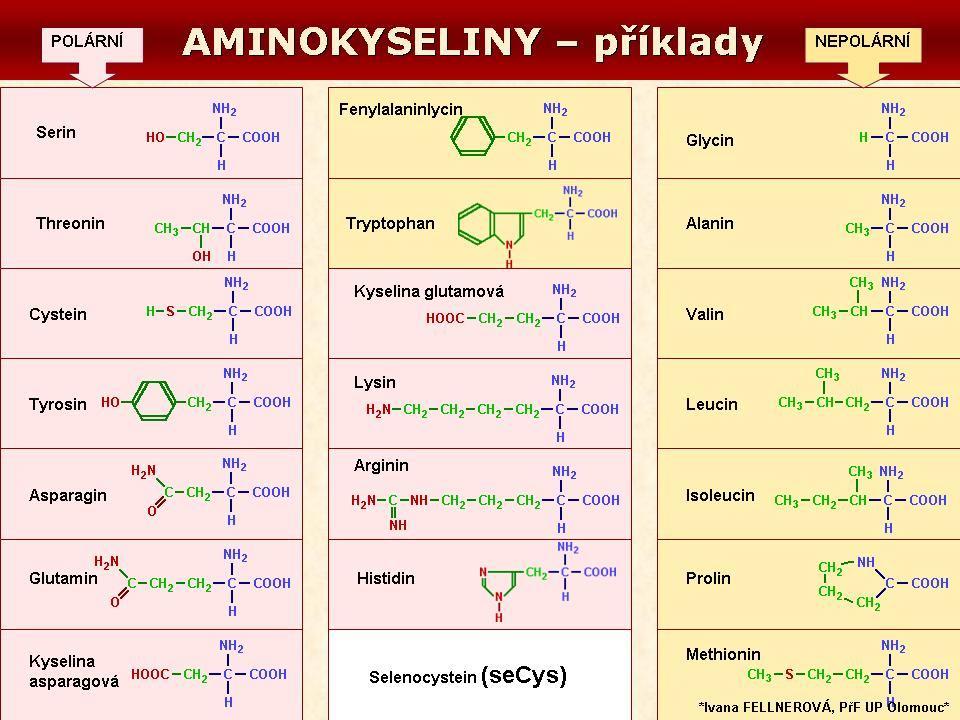 AMK: zajímavosti 21. resp. 22.