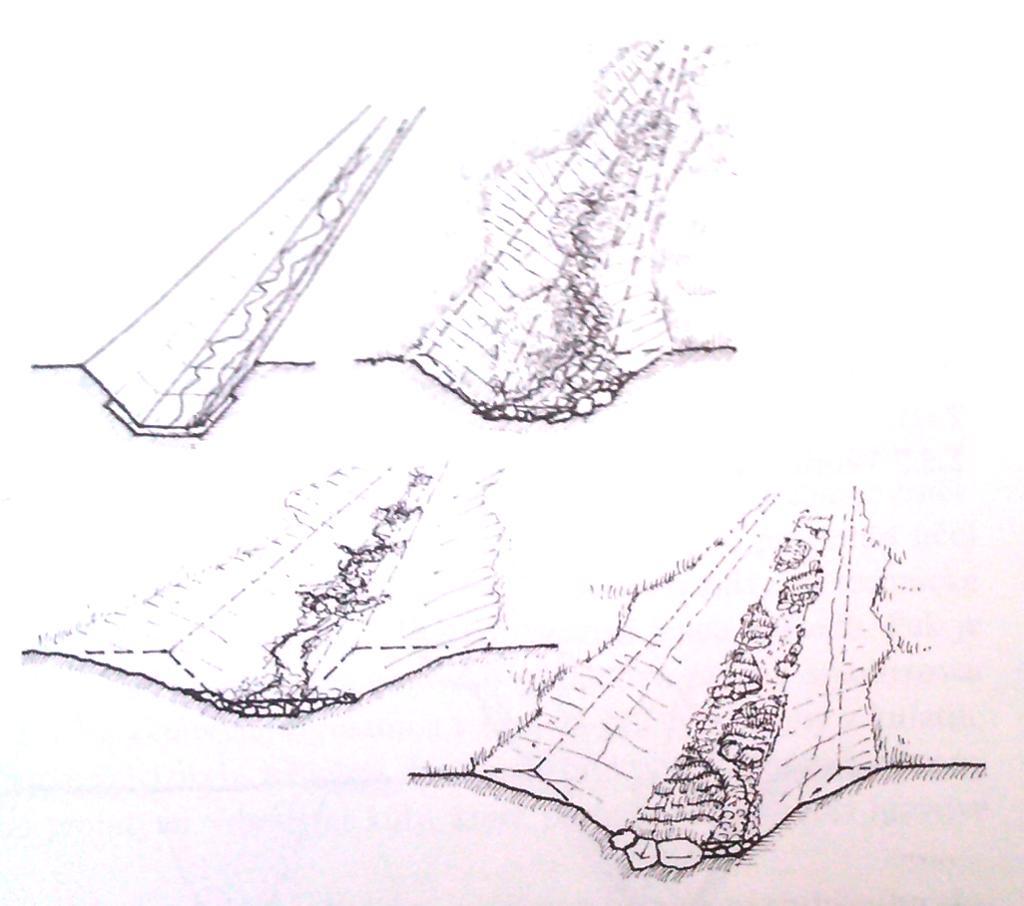 hrotnatky (Daphnia) a kaluţinky (Moina), druhy vířníků (Rotatoria) a hlístic (Nematoda). Z větších bezobratlých příkopníci (Acilius), potočníci (Agabus), vodošlapové (Hydroporus).