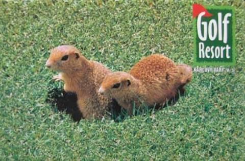 Vše je o komunikaci Obava z nového a neznámého (golfová veřejnost a ochrana přírody jsou dvě nepropojené komunity) Česká ochrana přírody nezná významně pozitivní působení golfových hřišť na naši