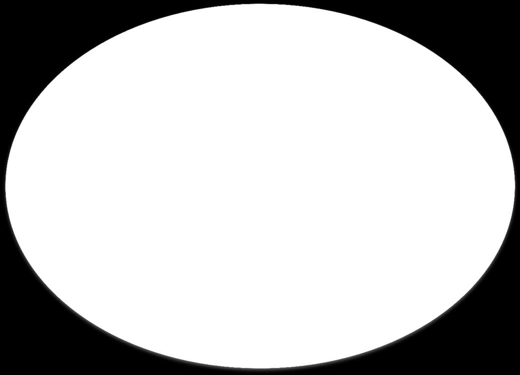 organizace