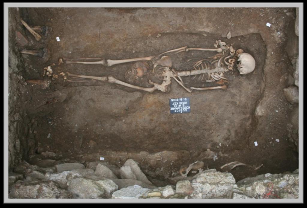 Oddělení zachraných