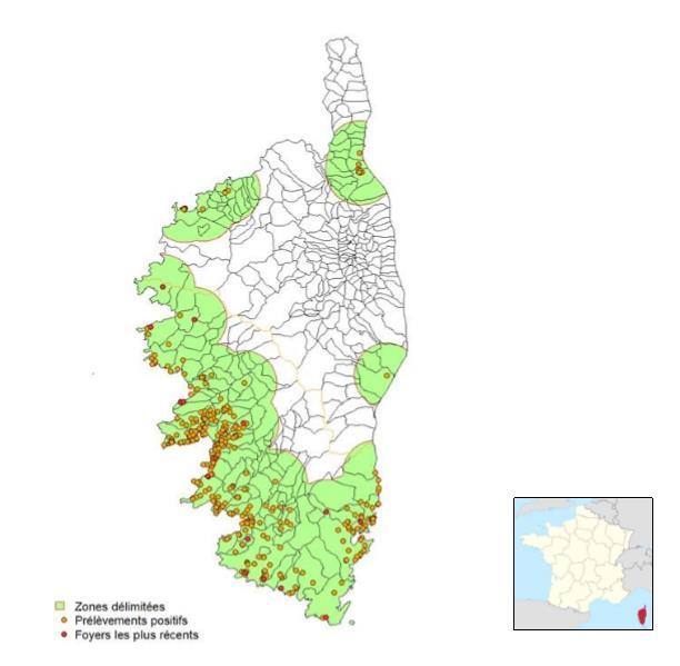 1. Mapa vymezených oblastí Korsika (Francie) Vysvětlivky: