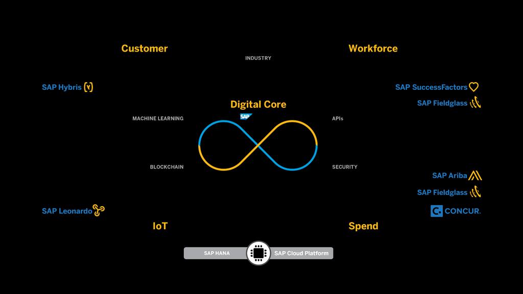 SAP Digital Business Framework 2017 SAP SE or an