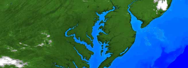 Atlantská pobřežní nížina (Atlantic Coastal Plain) Ze 3 zón je nejširší vnější pobřežní zóna, která svým charakterem dělí nížinu na: Zálivové pobřeží (od mysu Cod