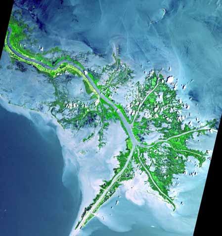 Delta Mississippi (Mississippi River Delta) bažinatá, s brakickou vodou, zarostlá mangrovy plocha asi 95 000 km² říční