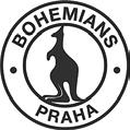 Bohemians Praha 1905 Pražský fotbalový klub.