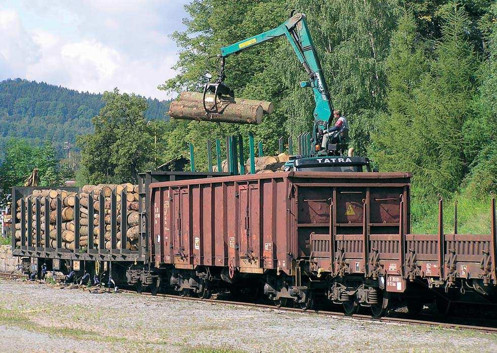 6. PŘEPRAVA DŘEVA ČD CARGO 6.1. Ujednání přepravy Z pohledu Českých drah se nám jeví několik způsobů přepravy.