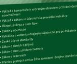 , o účetnictví, ve znění pozdějších předpisů, pro účetní jednotky, které jsou podnikateli účtujícími v soustavě podvojného účetnictví, a České
