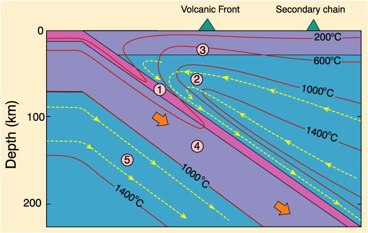 Teplota 600 o C je na straně subdukčního příkopu v