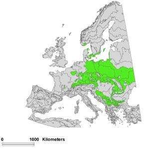 k floroelementu atlantskému. http://www.naturenode.