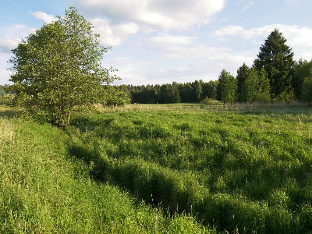 Pobočka České společnosti ornitologické na Vysočině Úvoz