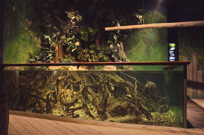 Akvárium, číslo 32 e-akvarium.