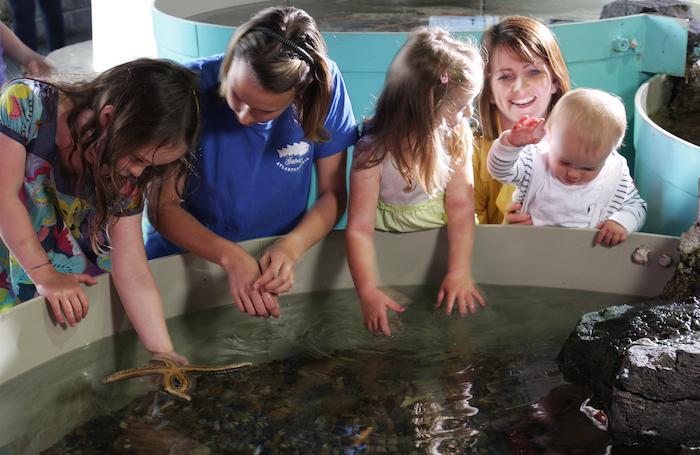 Akvárium, číslo 32 e-akvarium.cz reportáže (Foto: Kelsie Sherman, GA) Túto rybu chytil jeden z pracovníkov, je to morský čert (Lophiiformes).