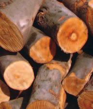7 0 1 5 0 k W EKONOMIE Kotle na dřevo ATMOS mají vysokou účinnost, malou spotřebu paliva a konkurenceschopnou cenu.