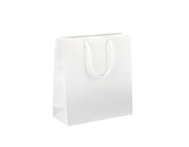 Reklamní předměty 50 Dárková papírová univerzální taška ve formátu cca A4 v pevném lesklém