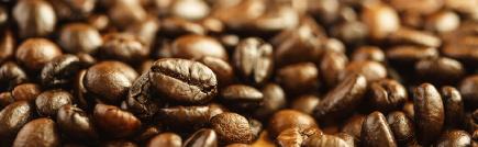 Zdravá káva HEALTHY COFFEE 7762 CORDYCEPS WHITE COFFEE STAR, 1 g káva arabica 4 v 1 s cordyceps sinensis 7767 CORDYCEPS WHITE COFFEE STAR, 300 g káva arabica 4 v 1 s cordyceps sinensis 1 019 7742