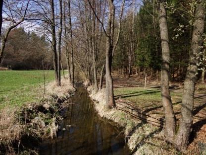 trasově upraveno. Následně se potok vlévá do nádrţe Příkosický rybník.
