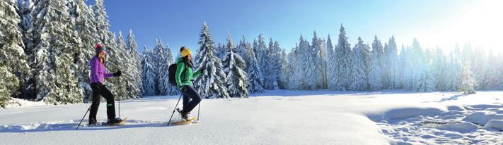 Velmi oblíbeným cílem zimních pěších výstupů je chata Bosruckhütte, k níž se vychází přímo ze Spital am Pyhrn, a také statky Polstergut a Dietlgut. Cesta k nim vede z Hinterstoderu.