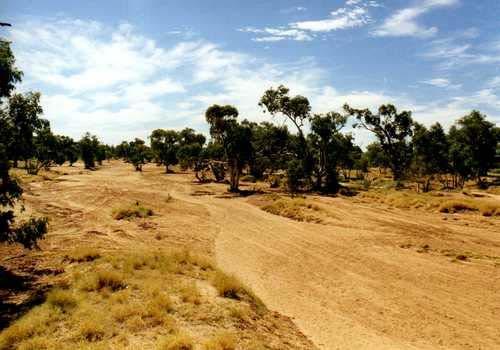 Austrálie je nejsušším kontinentem. Sucha ve vnitrozemí trvají i několik let.