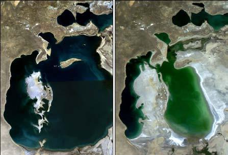 asijským slaným jezerem je Aralské jezero. Mezi slaná bezodtoková jezera patří i Mrtvé moře, jehož voda je kvůli nadměrné slanosti bez živých organismů je mrtvá.