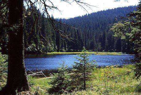 78 Řeka Odra Česká republika je na rozdíl od sousedních států chudá na přirozené vodní nádrže jezera. Podle vzniku převládají jezera ledovcového původu.