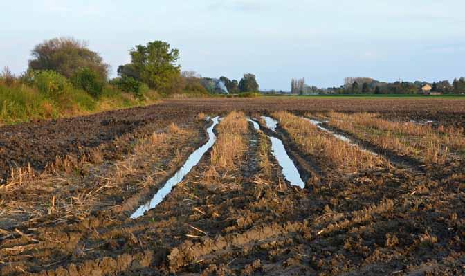 Merta Puddles on an active tank trail (July). Vyjeté koleje v poli.