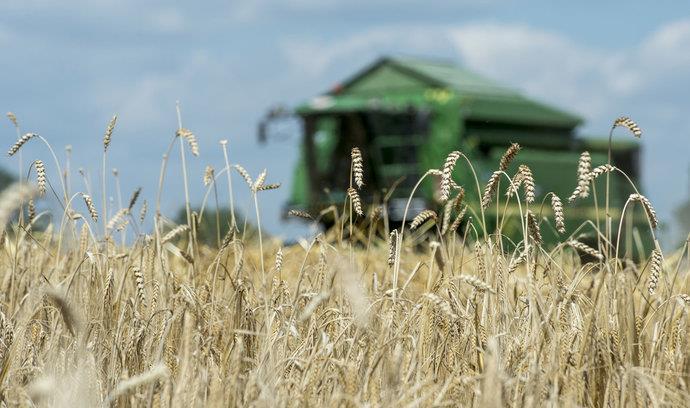 STATISTICKÝ PŘEHLED, VÝHLEDY EU 28, AKTUALITY Sklizeň obilí i řepky bude letos slabší, věští statistici Sklizeň základních obilovin letos podle prvních Podle Felčárka jsou také výrazné regionální