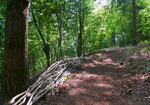 Workcamp Foster the City (Pěstuj prostor) 2017 Pátý ročník mezinárodního dobrovolnického workcampu se opět konal na