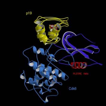 Fragment based drug