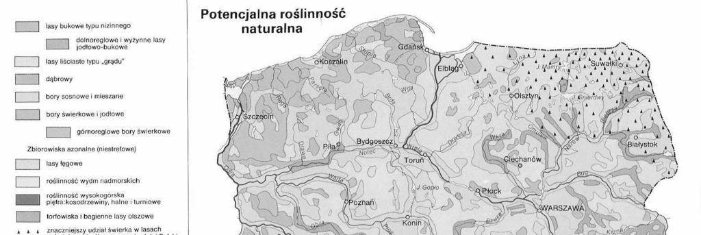 7.2.2. Lesy (druhové složení) ¾ z celkové rozlohy země připadají na jehličnaté lesy, které se v Polsku nazývají bory, listnatým lesům se zase říká grady.