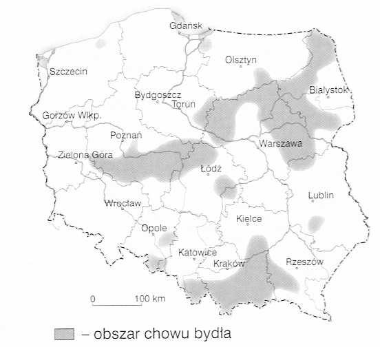 11.5 Živočišná výroba V průběhu posledních 15 let byl zaznamenán pokles živočišné produkce. Příčinou je rychlejší růst cen masa a také zdravější životní styl některých obyvatel.