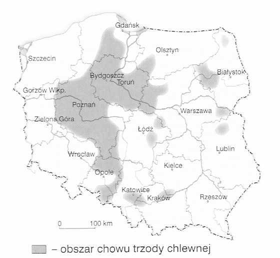 Ty jsou způsobeny nízkou úrodou plodin, jejichž zbytky jsou vepři krmeni. Tedy i chov vepřů závisí na klimatických podmínkách.