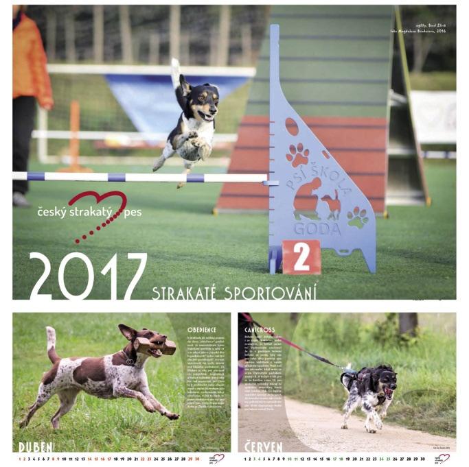 Strakatý kalendář 2018 Vzhledem k tomu, že obrázky na téma strakatý pes a jiné zvíře se scházely jen pomálu, přesouváme toto téma až na další rok.
