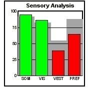 Následující obrázky jsou grafickým zobrazením vyhodnocení jednotlivých testů přístrojem Smart Equitest System.