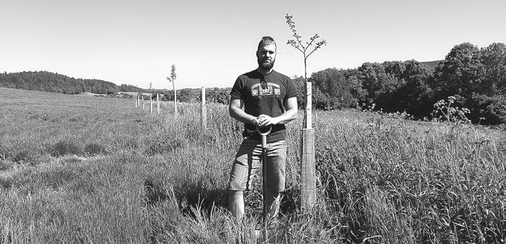 z města a regionu sami žijí, a porazit ho pro každou malichernost je škoda. Když nabouráte auto, koupíte nové, ale nahradit 50, 100 nebo víceletý strom nelze.