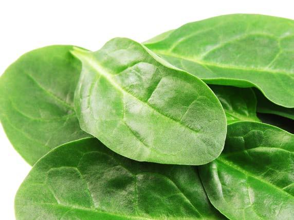 FIT-DAY PLANT BASED Smoothie Green Fit-day plant based smoothie je kombinací přírodního zdroje bílkovin z hrachu a rýže se 100% sušenou zeleninou.