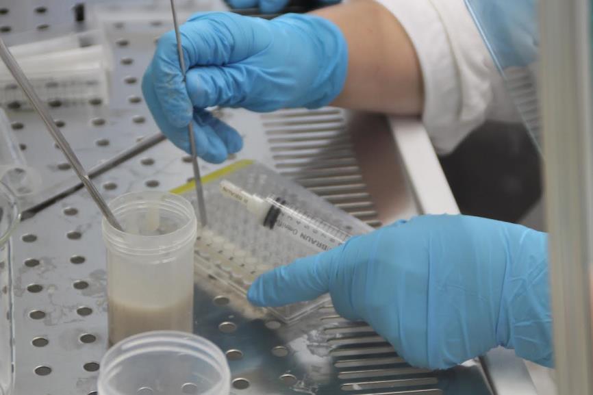 Závěrečné smíchání směsi chitosanu a bioapatitu s kolagenem se provádí opět stejným způsobem, pouze konkrétní parametry se liší (8000 ot.min -1, 10 min).