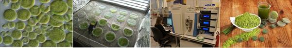 Řasové biotechnologie pro