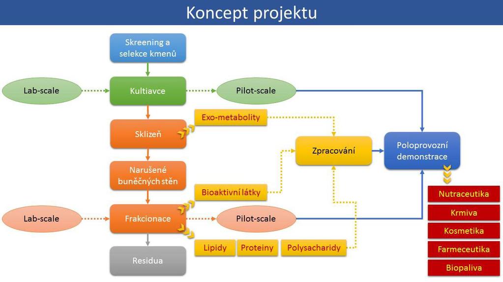 Procesní