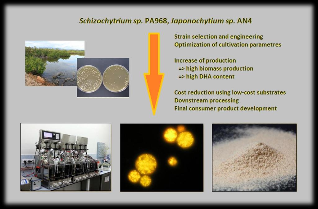 OMEGA-Grow Microalgae Omega-3 biotechnology plant 2 patents covering novel production