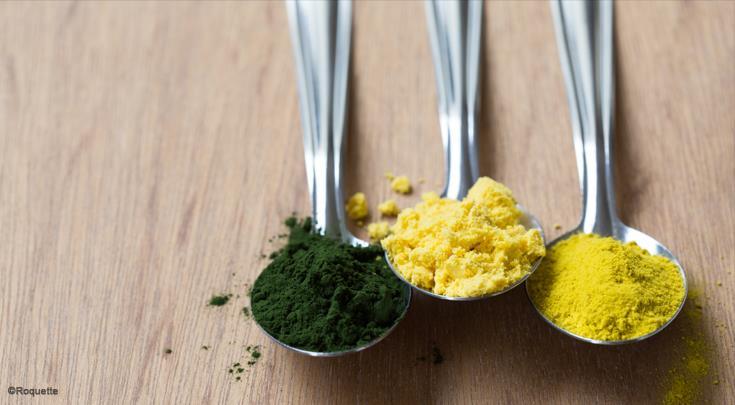 Hlavní plánované produkty Mouka z bezchlorofylové chlorely může být alternativou k vaječného žloutku, máslu a oleji, váže vodu a snižuje celkové kalorií při zachování chuti a textury tradičních